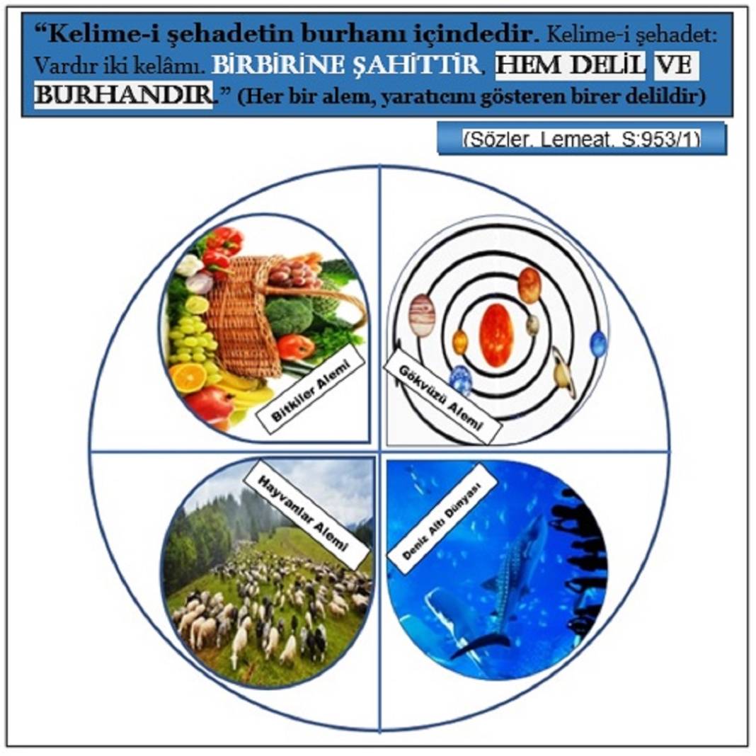 Risale-i Nur’dan Resimli Vecize Kartları 2