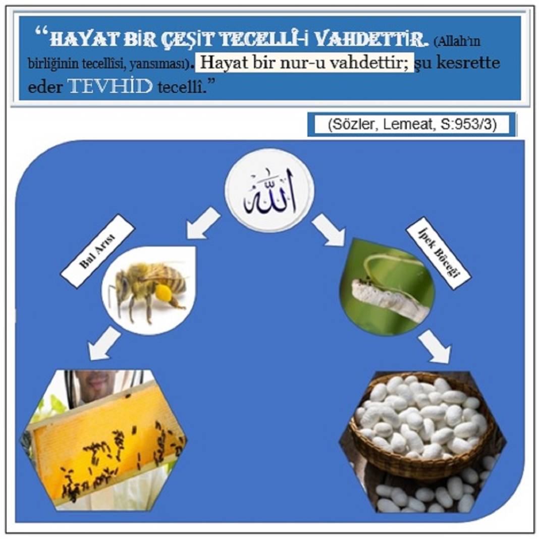 Risale-i Nur’dan Resimli Vecize Kartları 3
