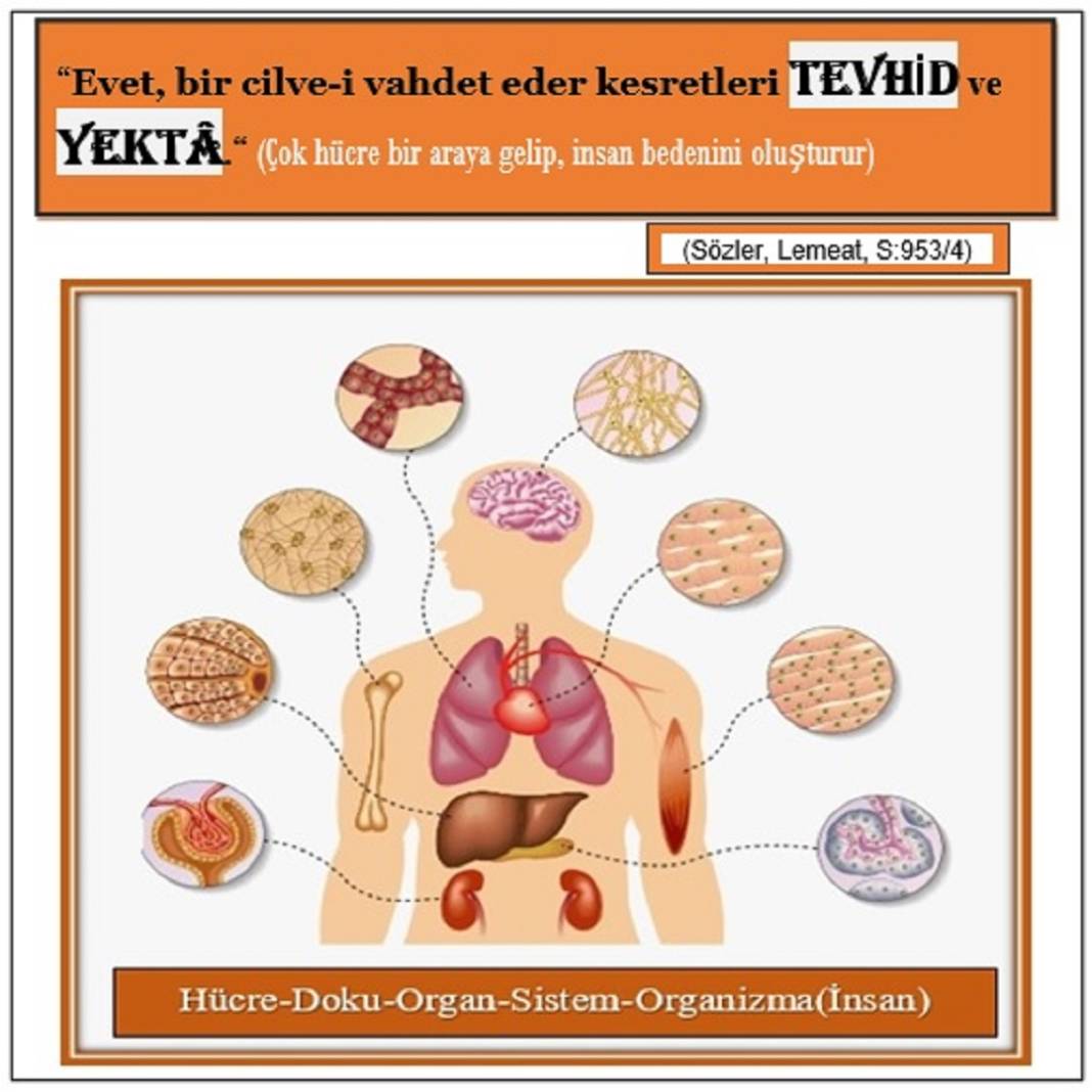 Risale-i Nur’dan Resimli Vecize Kartları 4