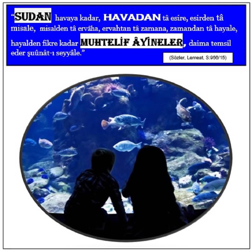 Risale-i Nur Derslerinden Resimli Vecizeler 15