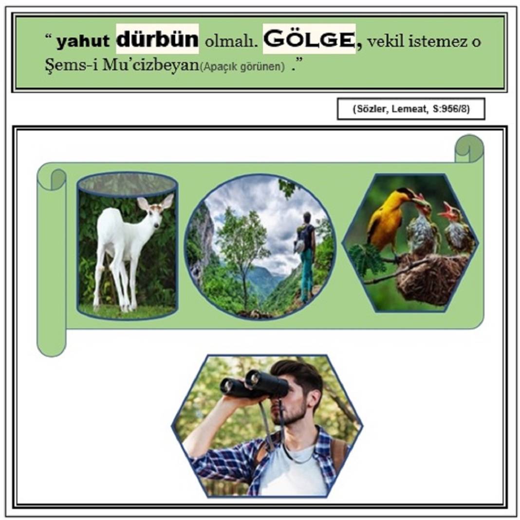 Risale-i Nur Derslerinden Resimli Vecizeler 8