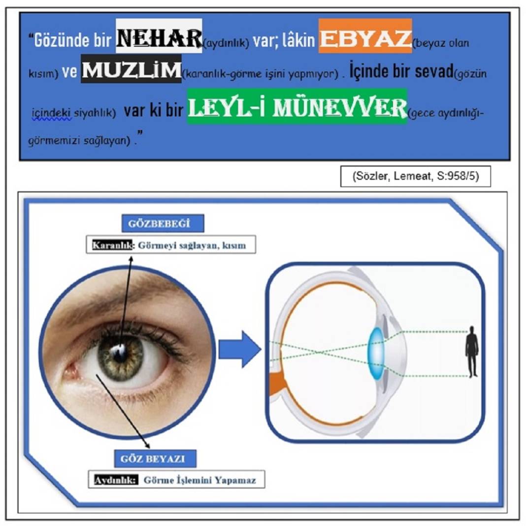 Risale-i Nur Derslerinden Resimli Vecize Kartları 10