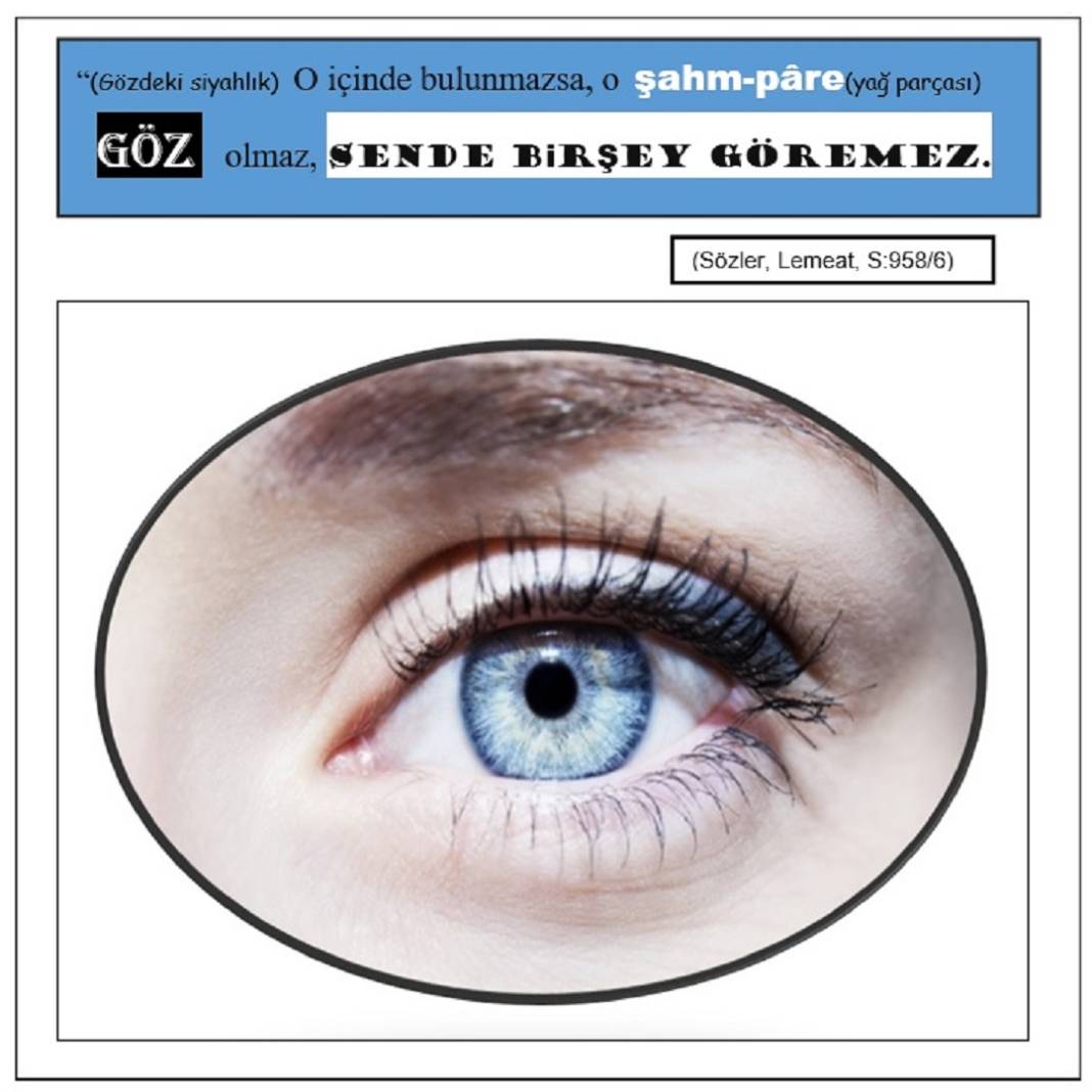 Risale-i Nur Derslerinden Resimli Vecize Kartları 11