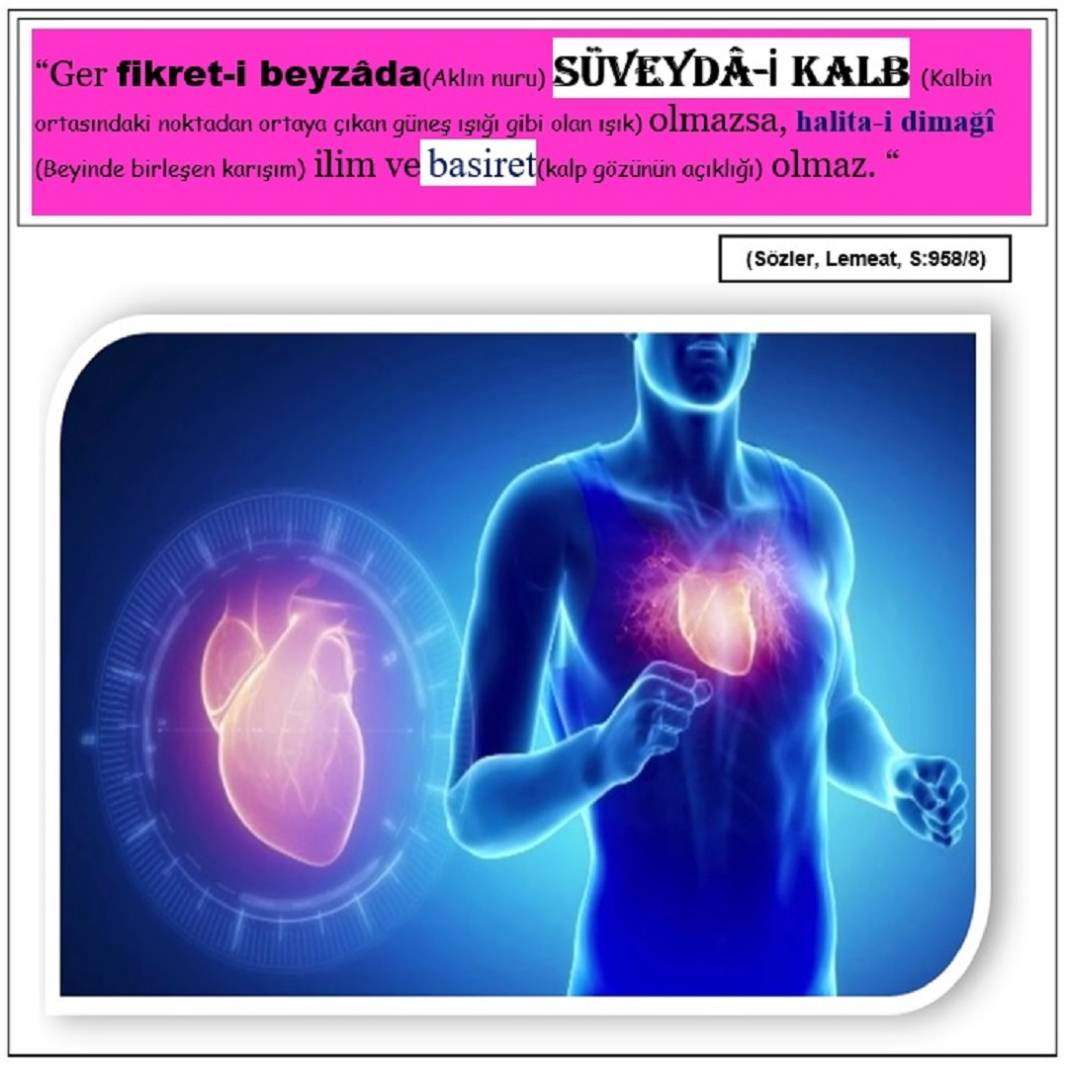 Risale-i Nur Derslerinden Resimli Vecize Kartları 13