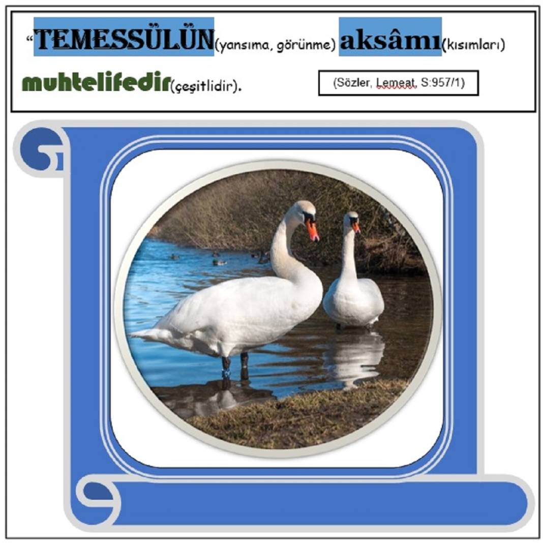 Risale-i Nur Derslerinden Resimli Vecize Kartları 2