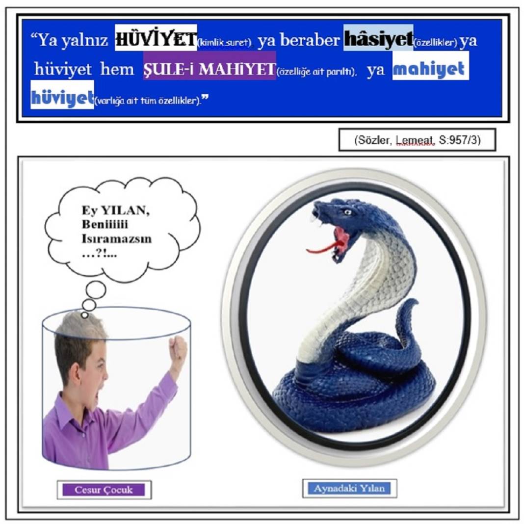 Risale-i Nur Derslerinden Resimli Vecize Kartları 4