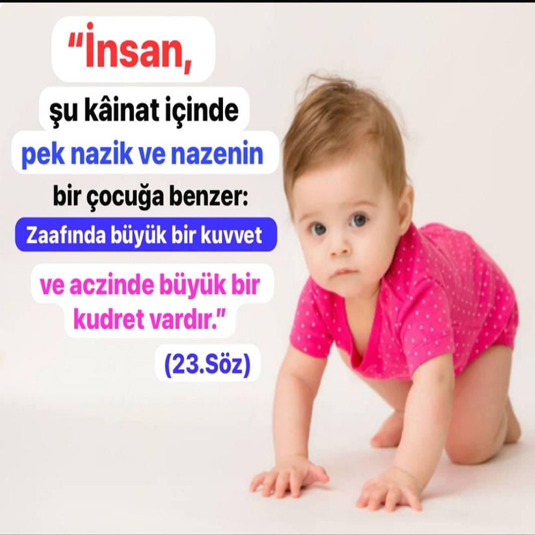 Risale-i Nur Penceresinden; Resimli Vecizeler 11