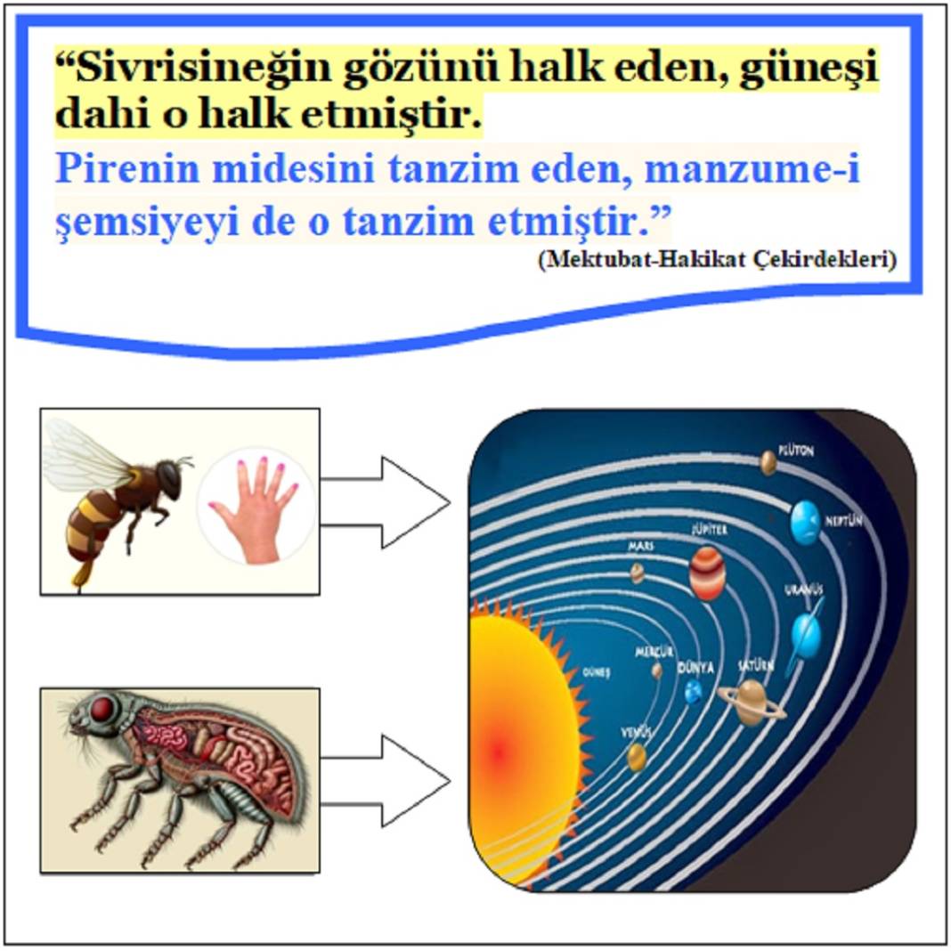 Risale-i Nur Penceresinden; Resimli Vecizeler 12