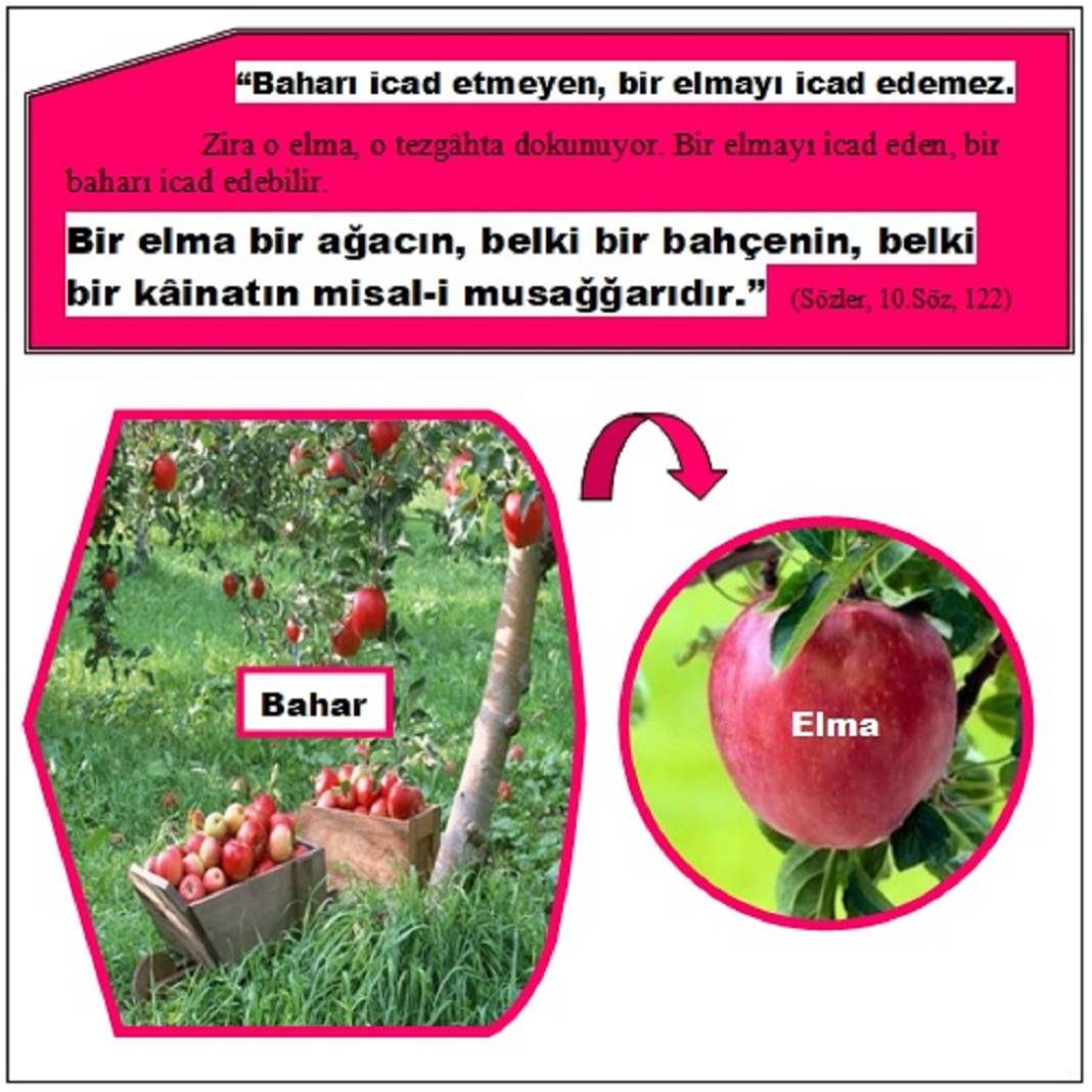 Risale-i Nur Penceresinden; Resimli Vecizeler 13