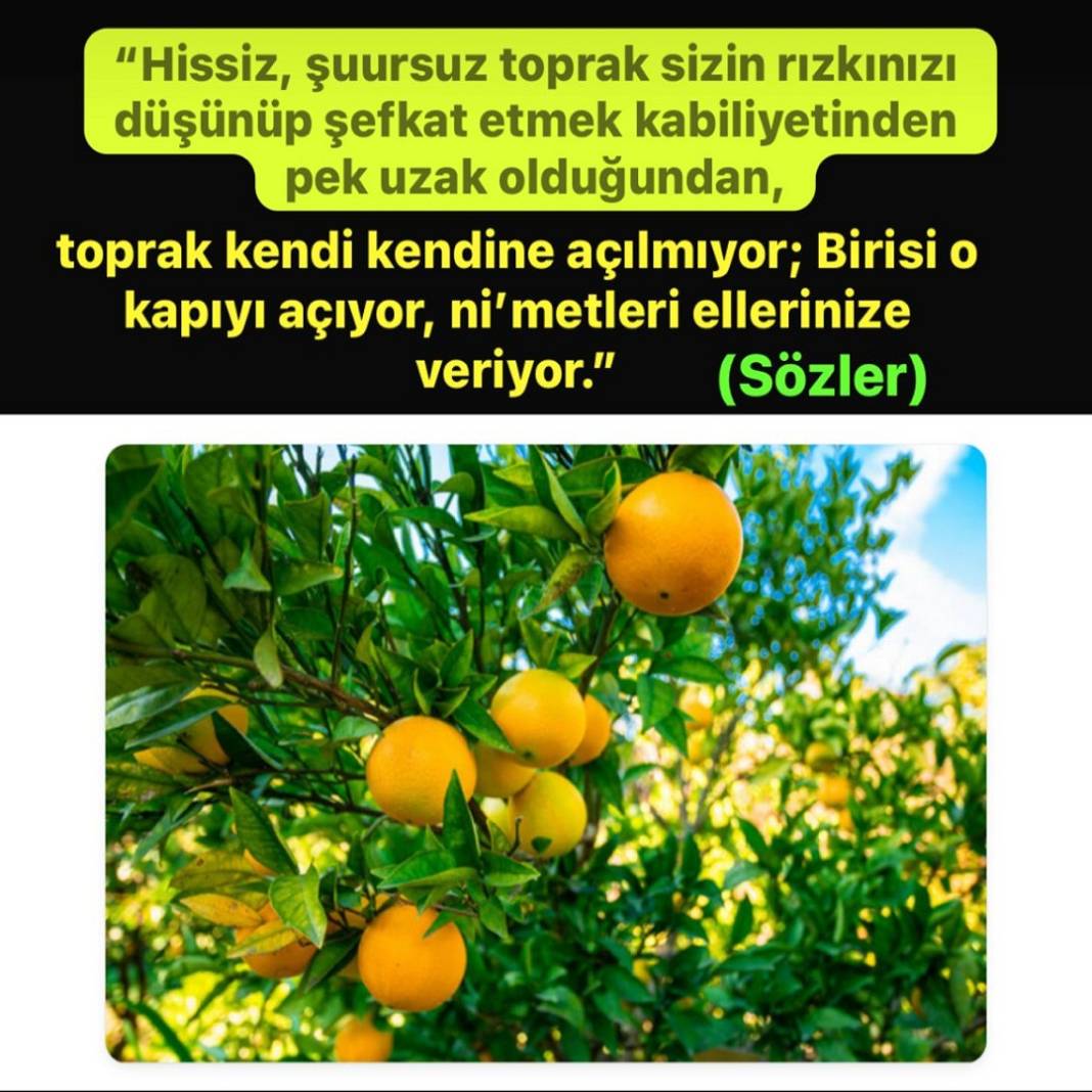 Risale-i Nur Penceresinden; Resimli Vecizeler 15