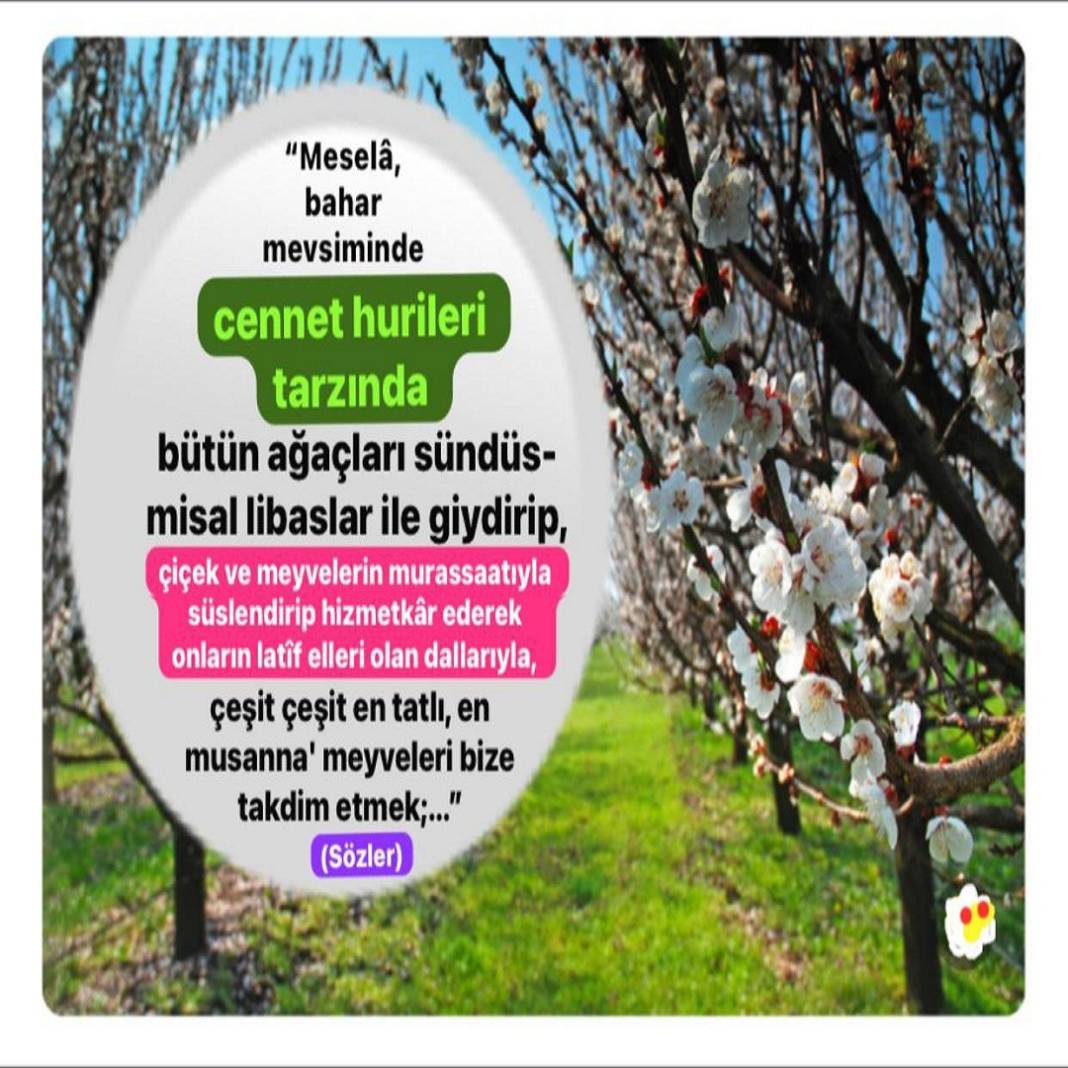 Risale-i Nur Penceresinden; Resimli Vecizeler 19