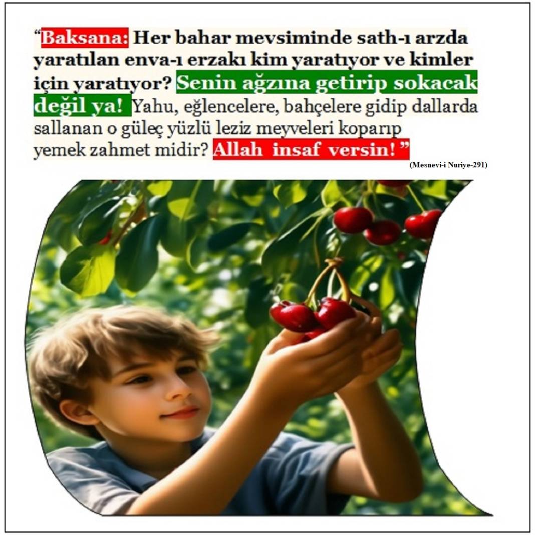 Risale-i Nur Penceresinden; Resimli Vecizeler 27