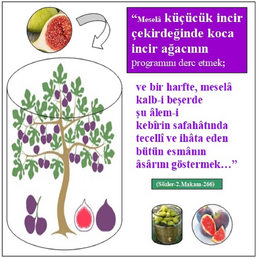 Risale-i Nur Penceresinden; Resimli Vecizeler 35