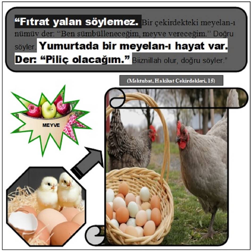 Risale-i Nur Penceresinden; Resimli Vecizeler 40