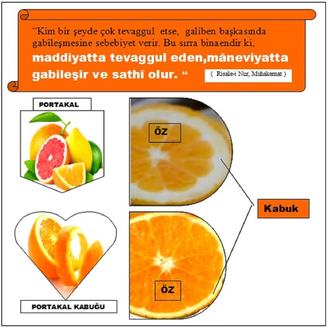 Risale-i Nur Penceresinden; Resimli Vecizeler 5