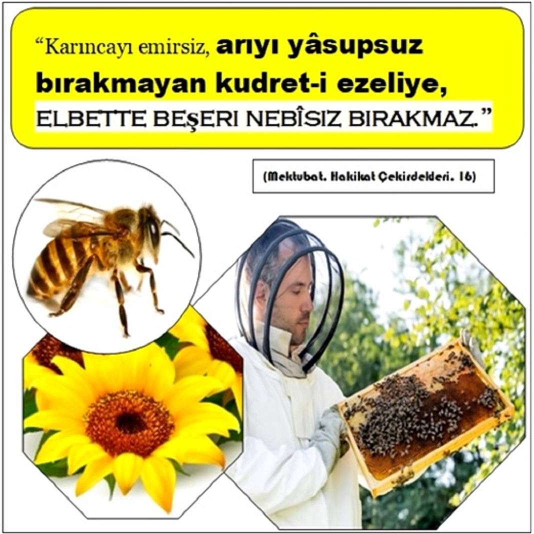 Risale-i Nur’dan Resimli Vecizeler 1