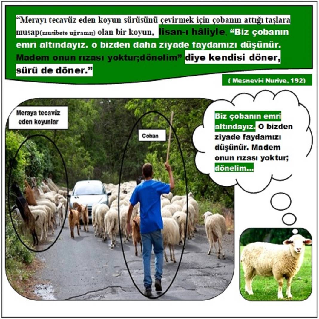 Risale-i Nur’dan Resimli Vecizeler 11