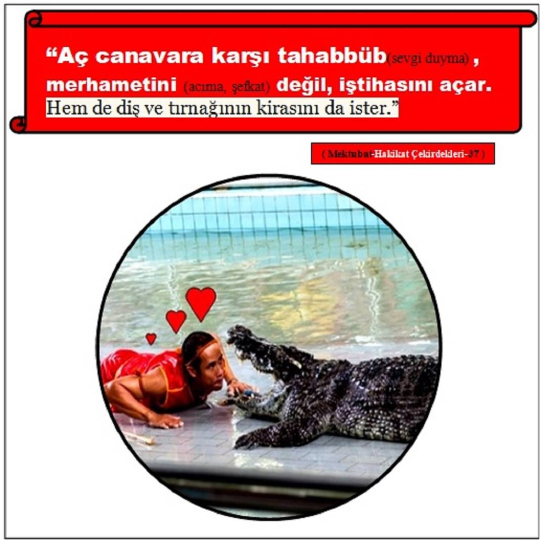 Risale-i Nur’dan Resimli Vecizeler 16