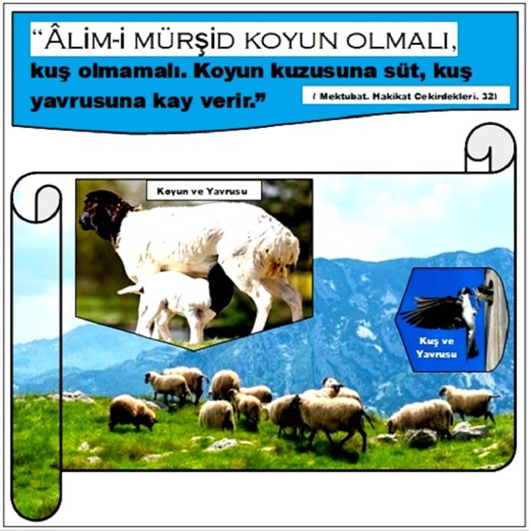 Risale-i Nur’dan Resimli Vecizeler 5