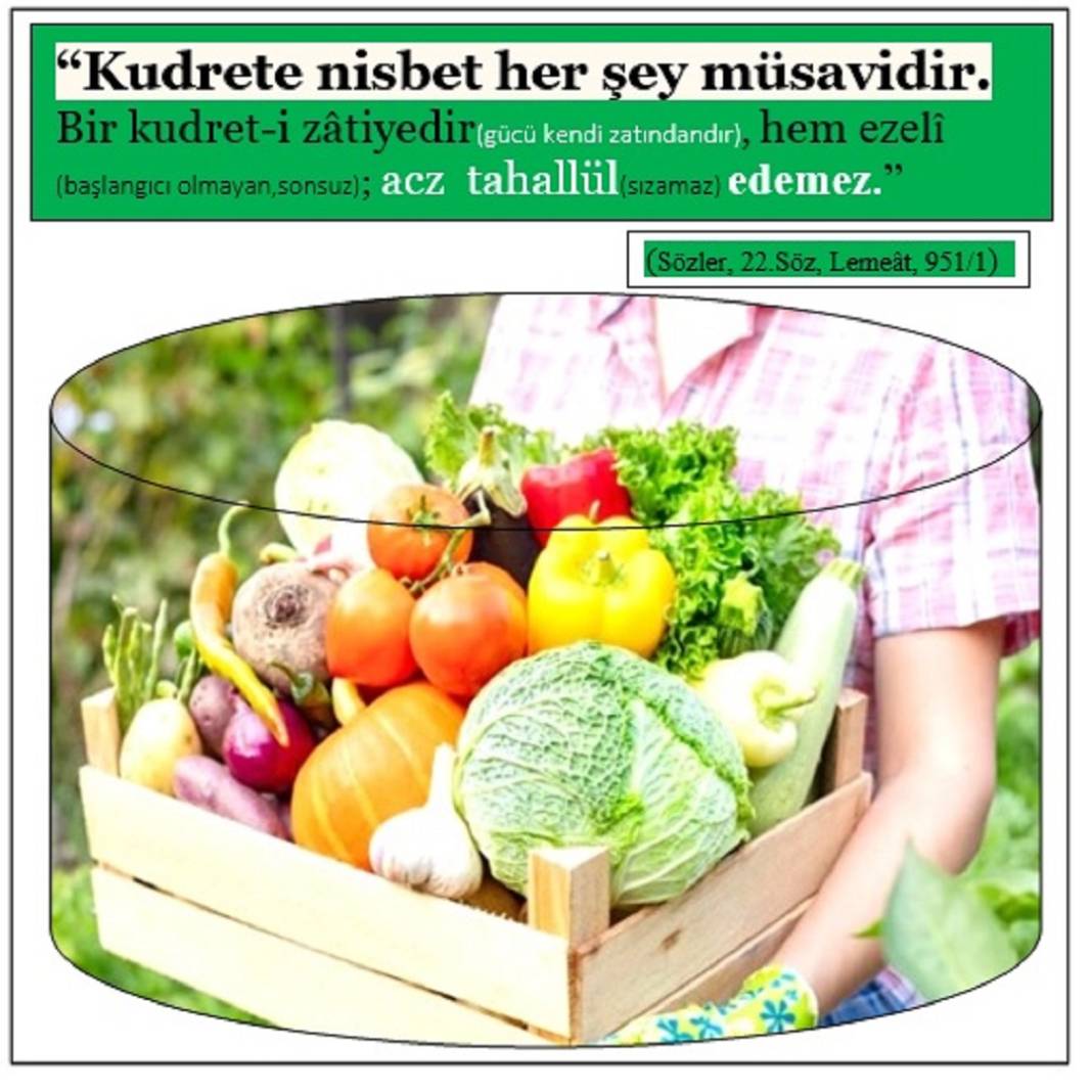 Risale-i Nur’dan Kısa Vecizeler 13