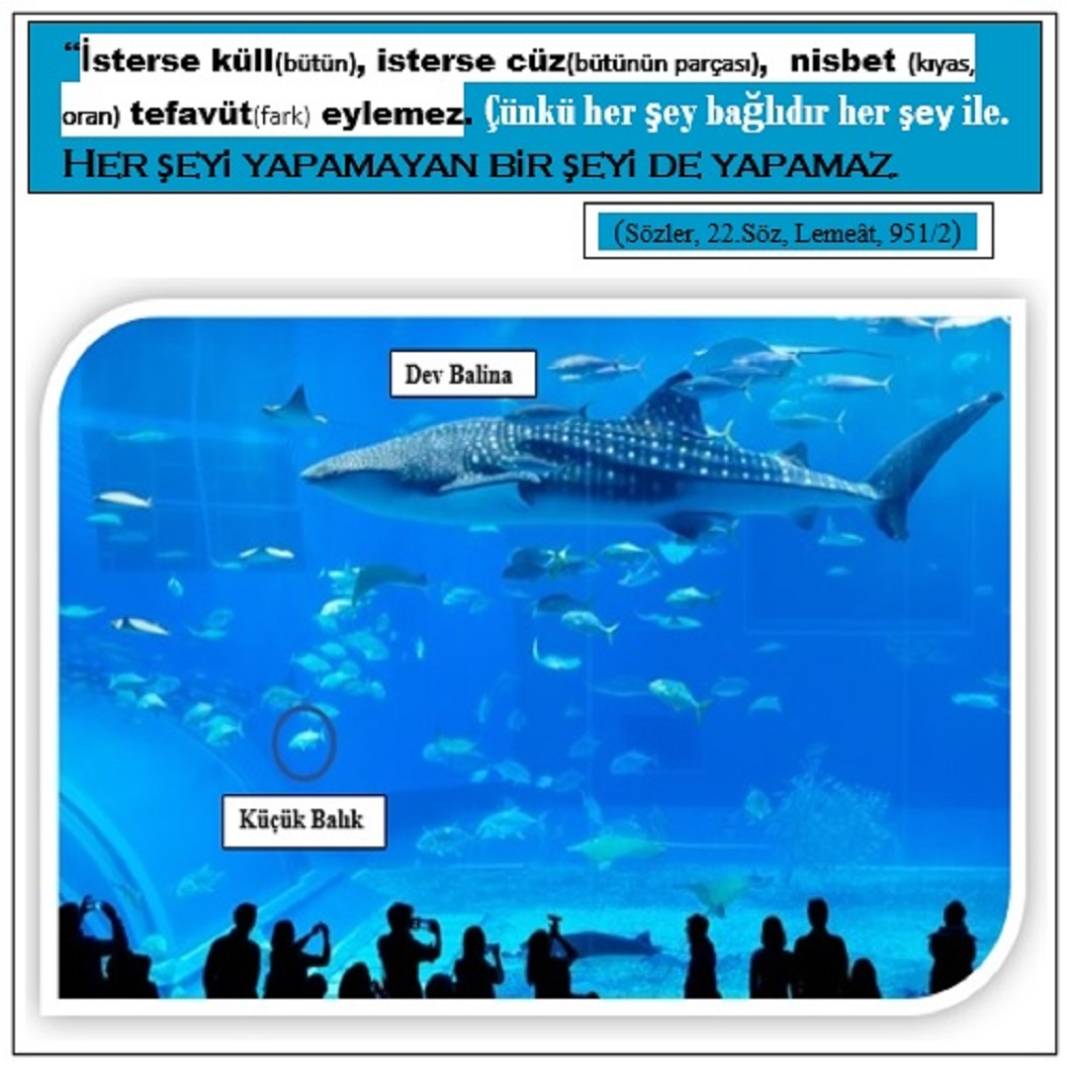 Risale-i Nur’dan Kısa Vecizeler 14