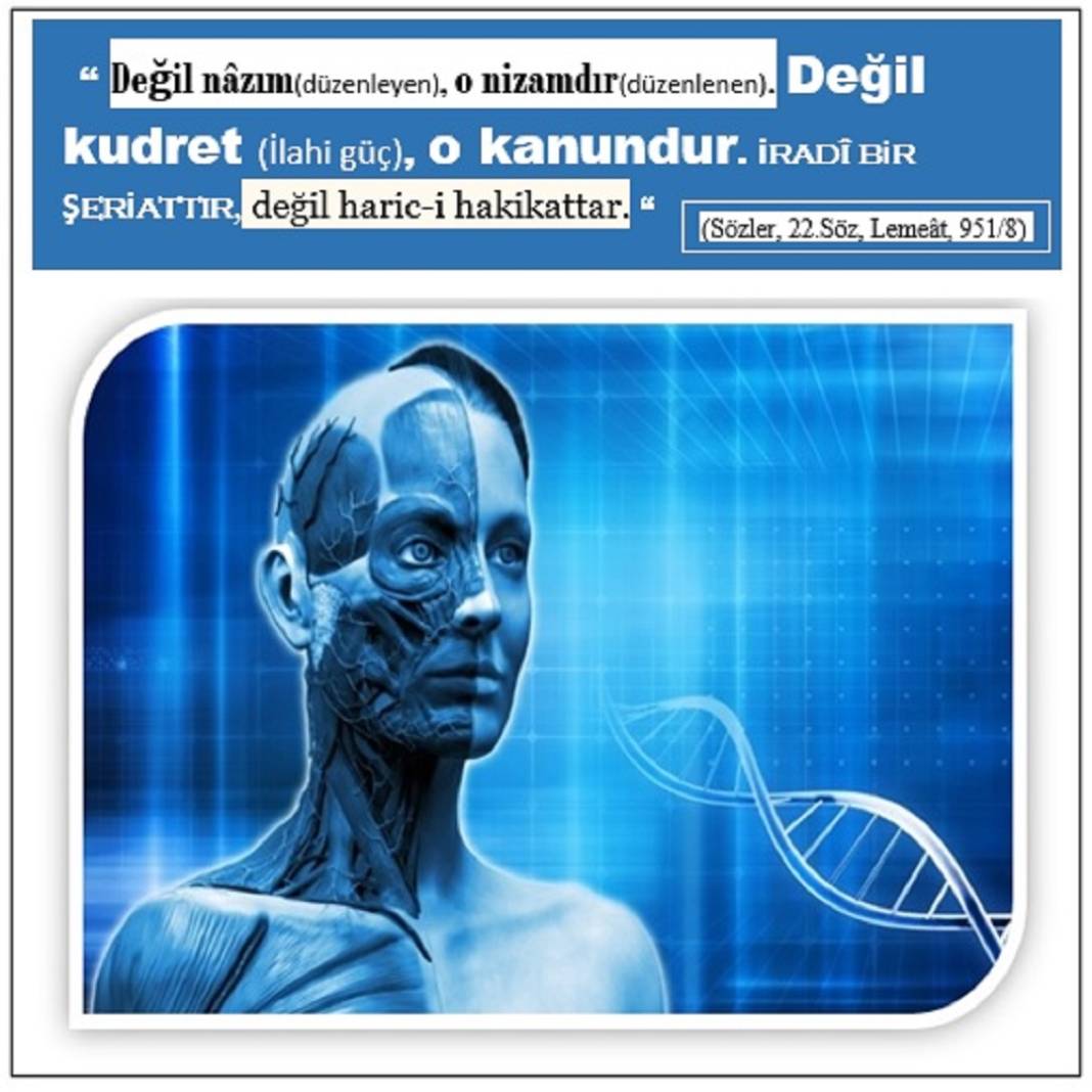 Risale-i Nur’dan Kısa Vecizeler 20