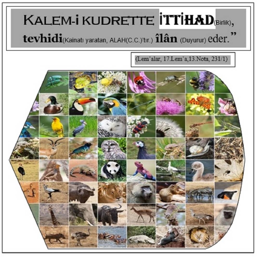 Risale-i Nur’dan Kısa Vecizeler 7