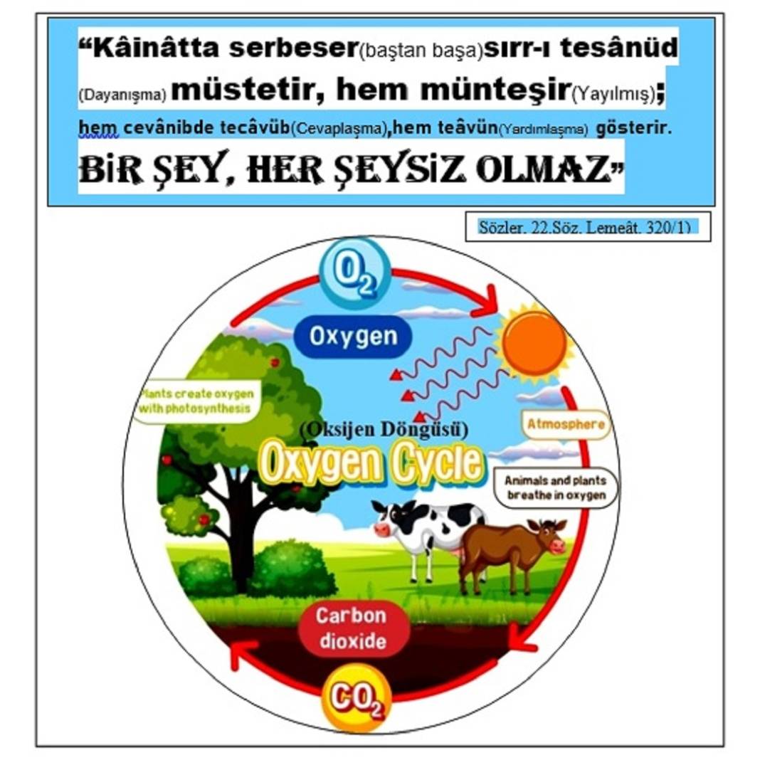 Risale-i Nur’dan Kısa Vecizeler 8