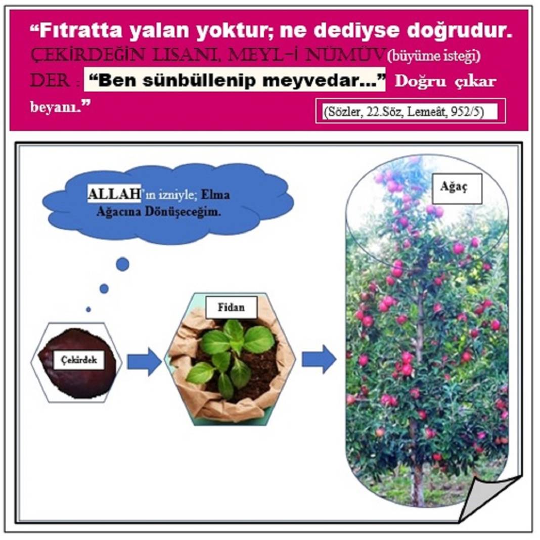 Risale-i Nur’dan Vecize Kartları 5