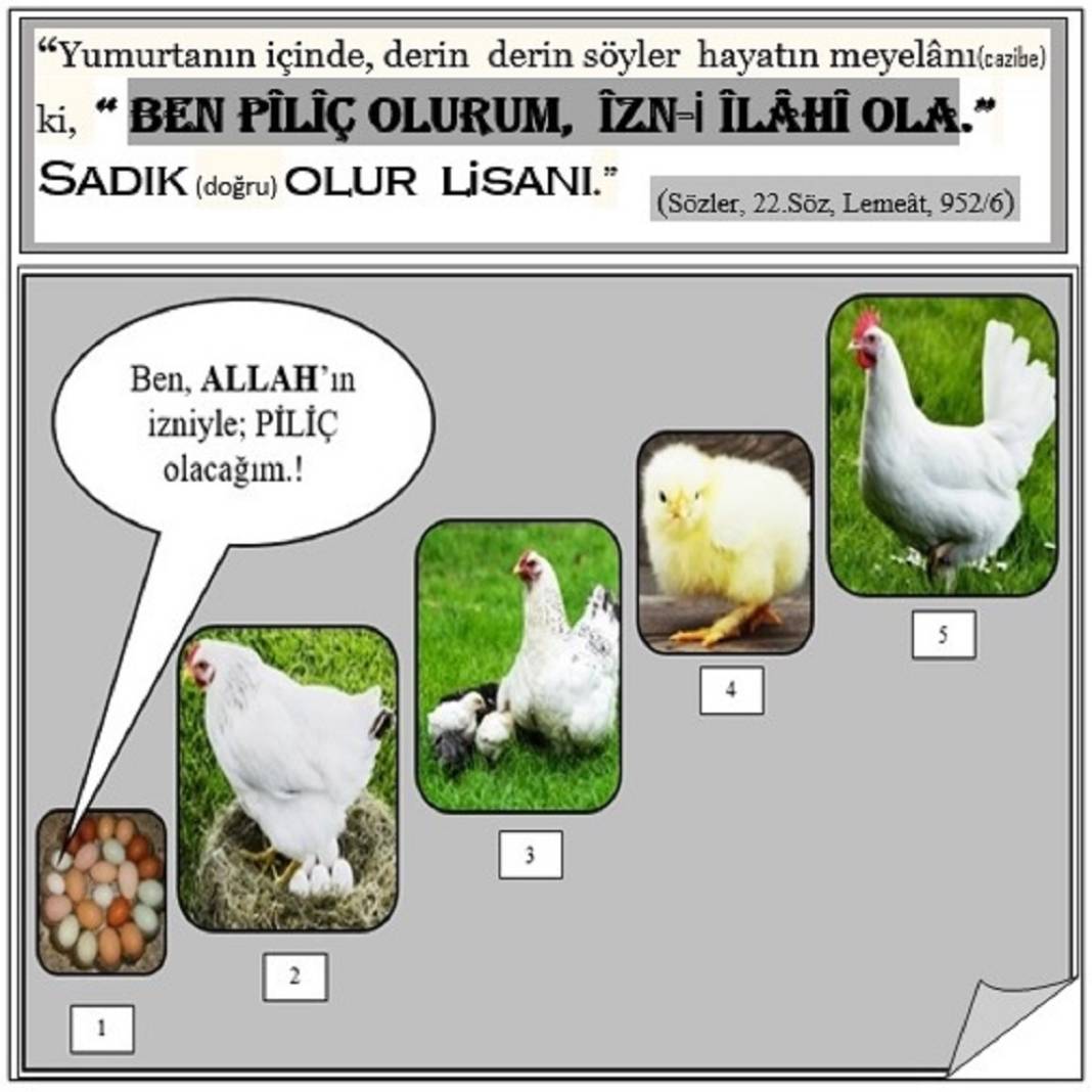 Risale-i Nur’dan Vecize Kartları 6