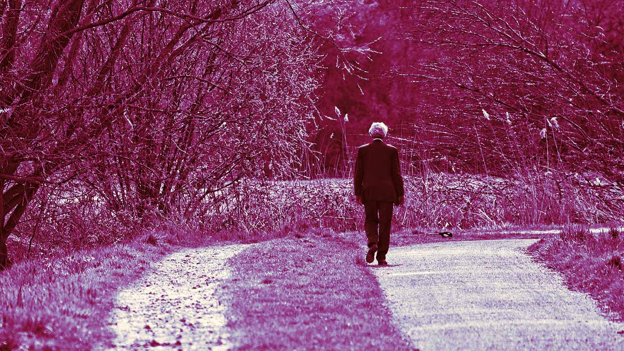 Yolun sonunu görmek için kılavuza gerek var mı?