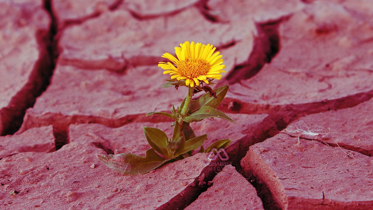 Allah'ın adaleti nasıl tecelli eder? Allah iyiliğin ve kötülüğün karşılığını nasıl verir?