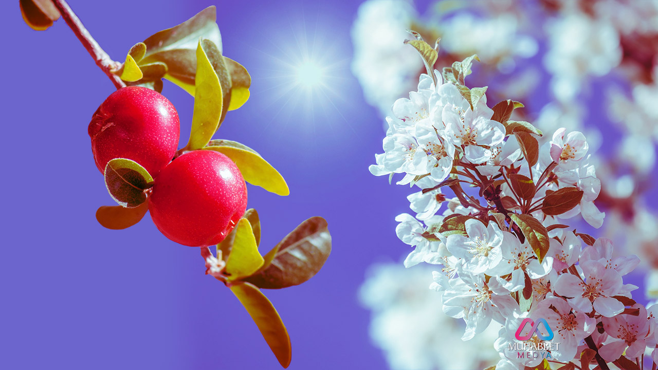 Kadınlar önce kendi kimliği sonra da hayat gayesi ile barışırsa ne olur?