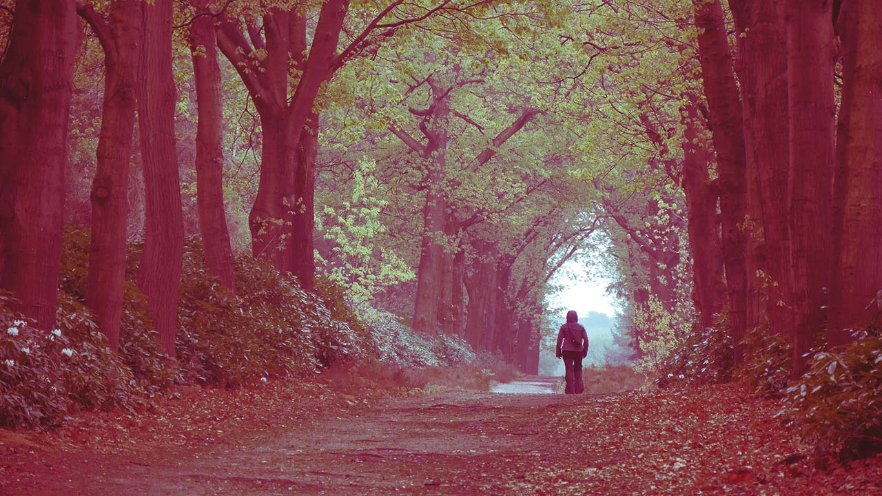 Cennete girmenin ilk şartı nedir? Cennete girmek için ne yapmalıyım?