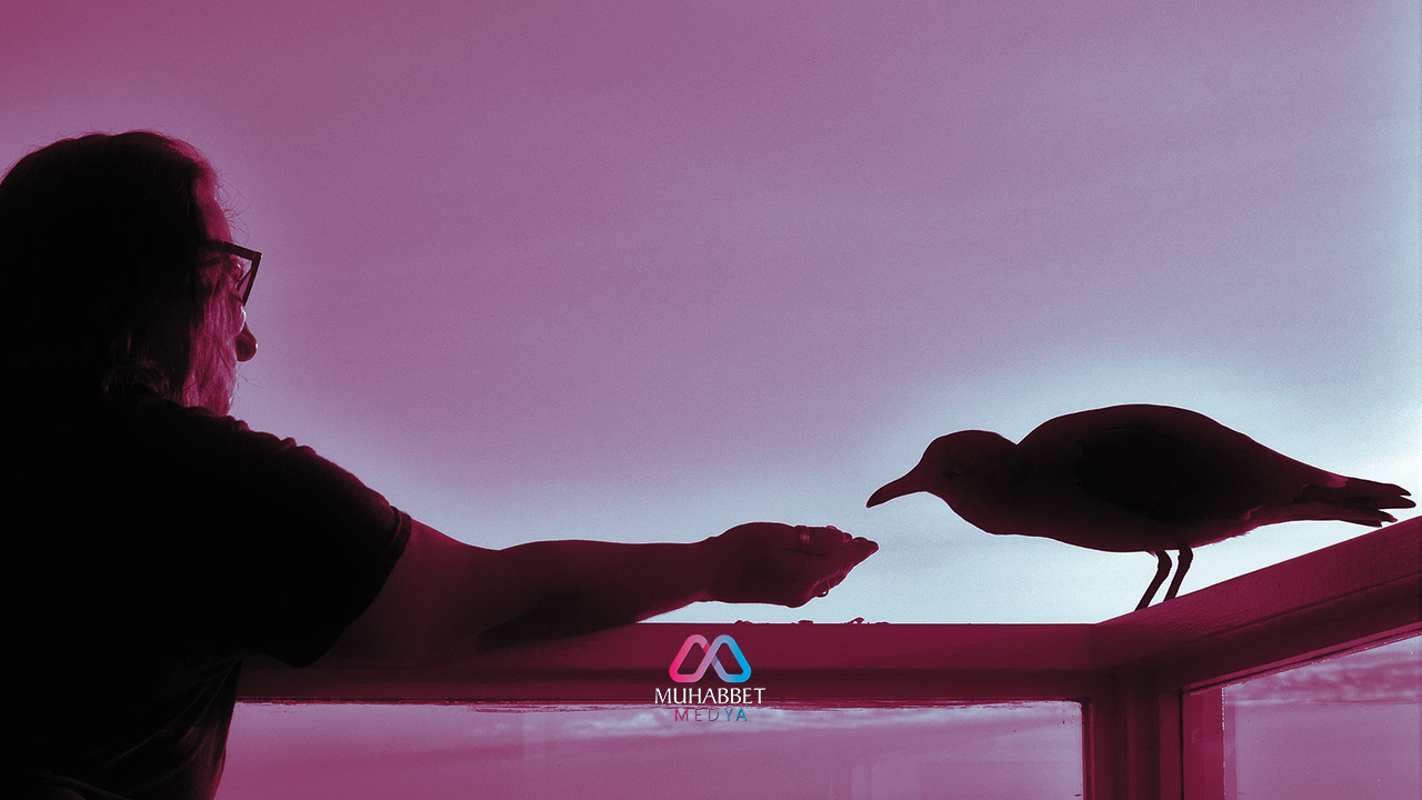 Hadise göre mutluluğun sırrı: Beklenti içinde olmamak