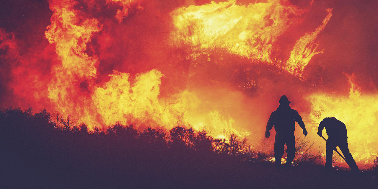 Kasten orman yakanlara idam cezası verilmeli