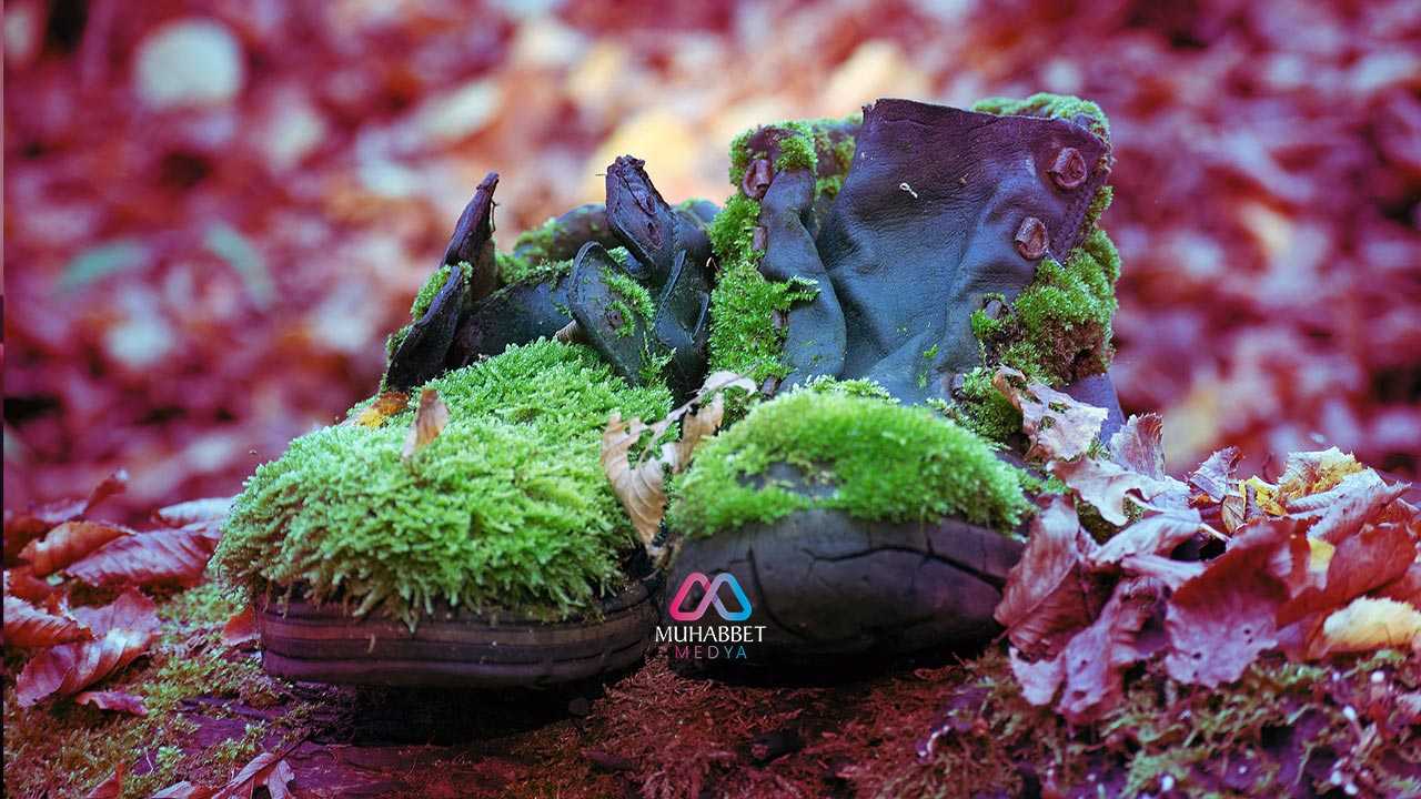 Yaratılış ağacının en kıymetli meyvesi olan insan değerini nasıl yok eder