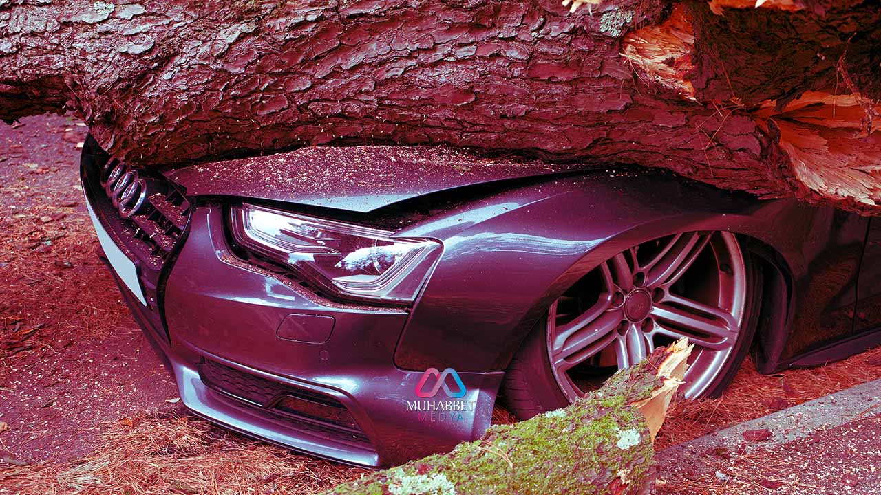 Başımıza gelen musibetler ceza mı imtihan mı? Başımıza gelen musibetlere karşı nasıl davranmalıyız?