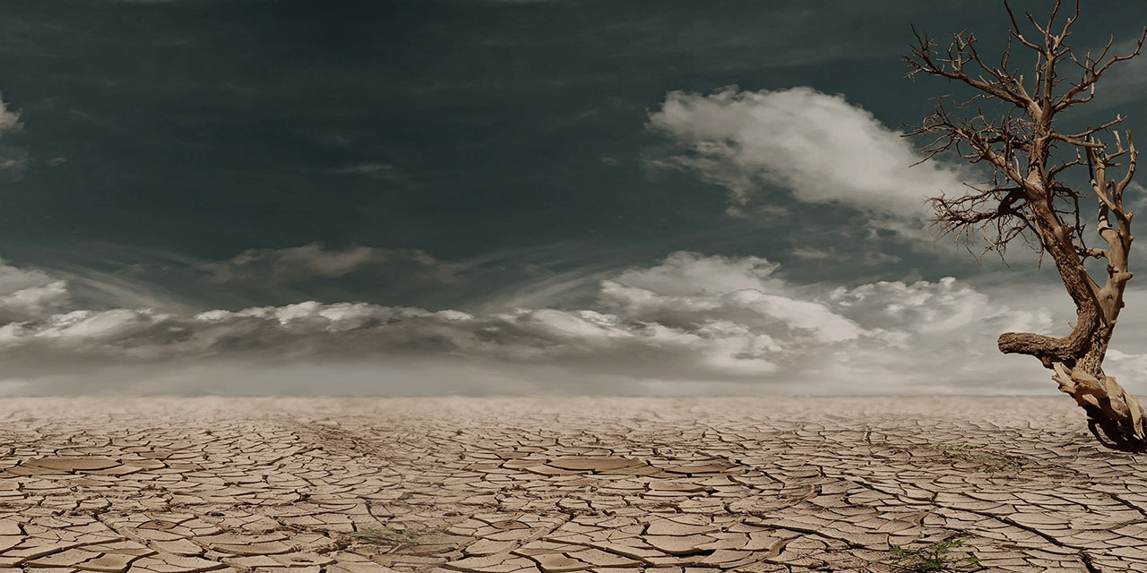 Tüketim ekonomisi ve israf terk edilmediği sürece iklim krizinin çözümü zor