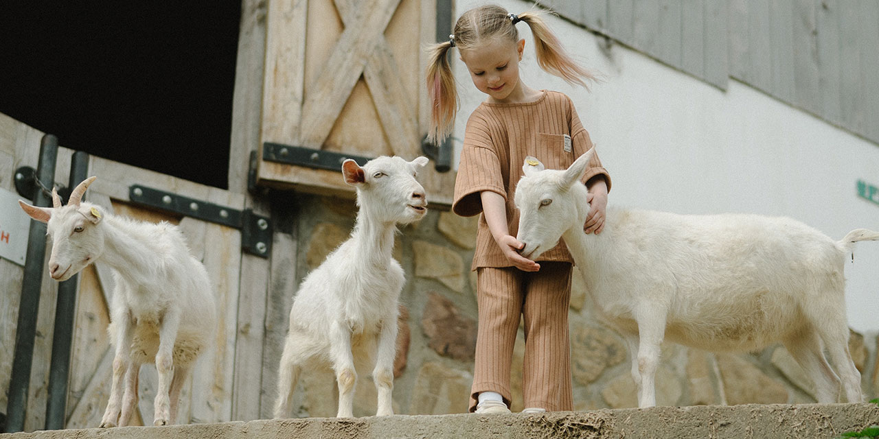 Bayramımız Bayram Olsun