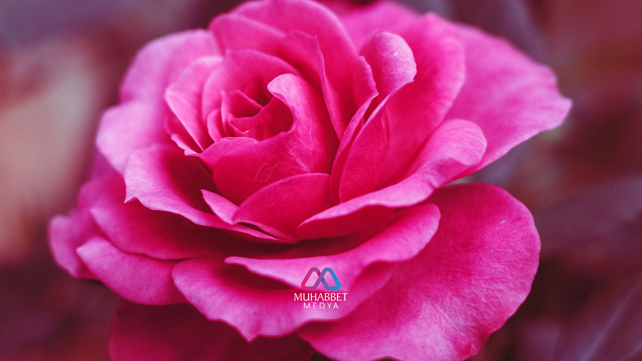 Ramazan Ayı ve Oruç ile ilgili en önemli hadisler