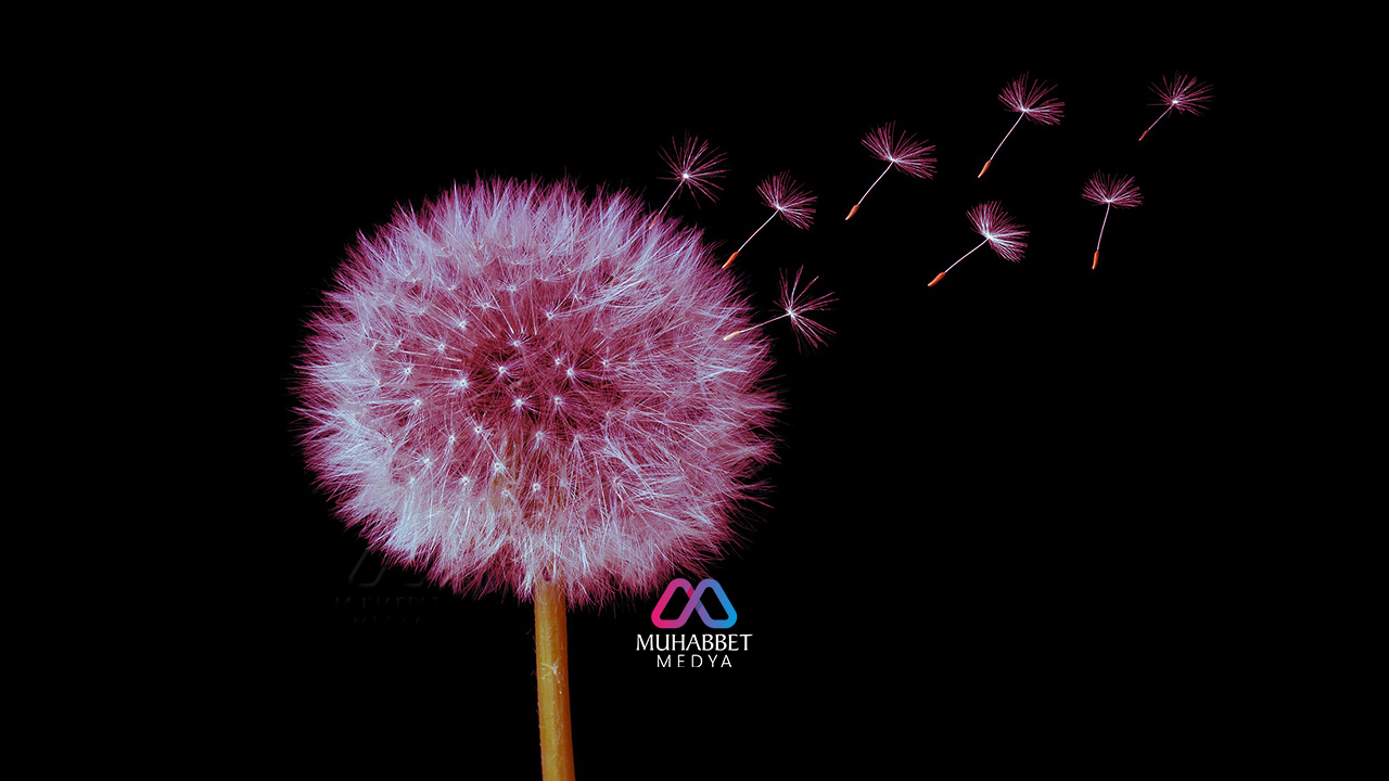 Bediüzzaman’ın dikkat çektiği günümüzdeki söz ve söyleme dair hayli önemli bir mesele