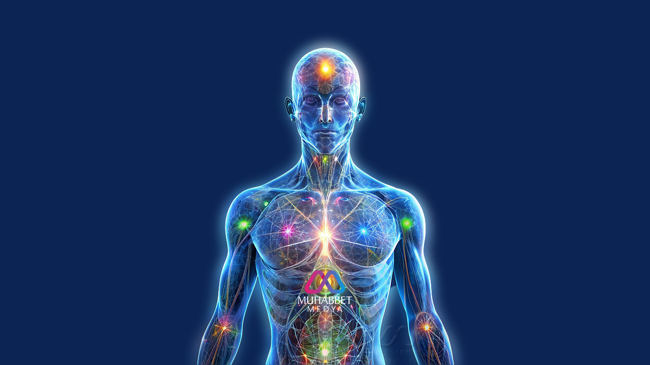 Akıl, göz ve kalbin asıl yaratılış maksatları nasıl anlaşılır?