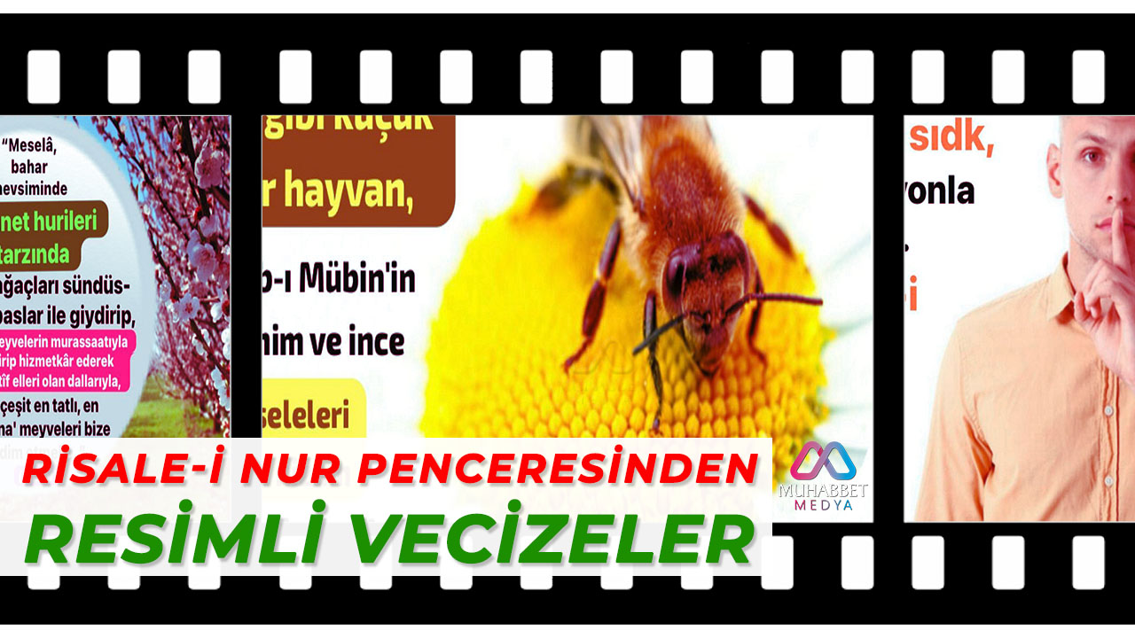 Risale-i Nur Penceresinden; Resimli Vecizeler