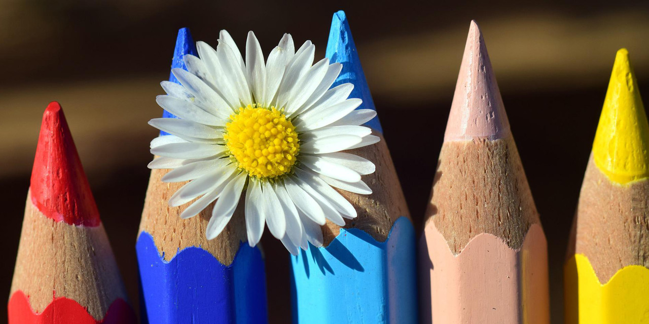 Zevk ve Üzüntü Sarkacında İnsan