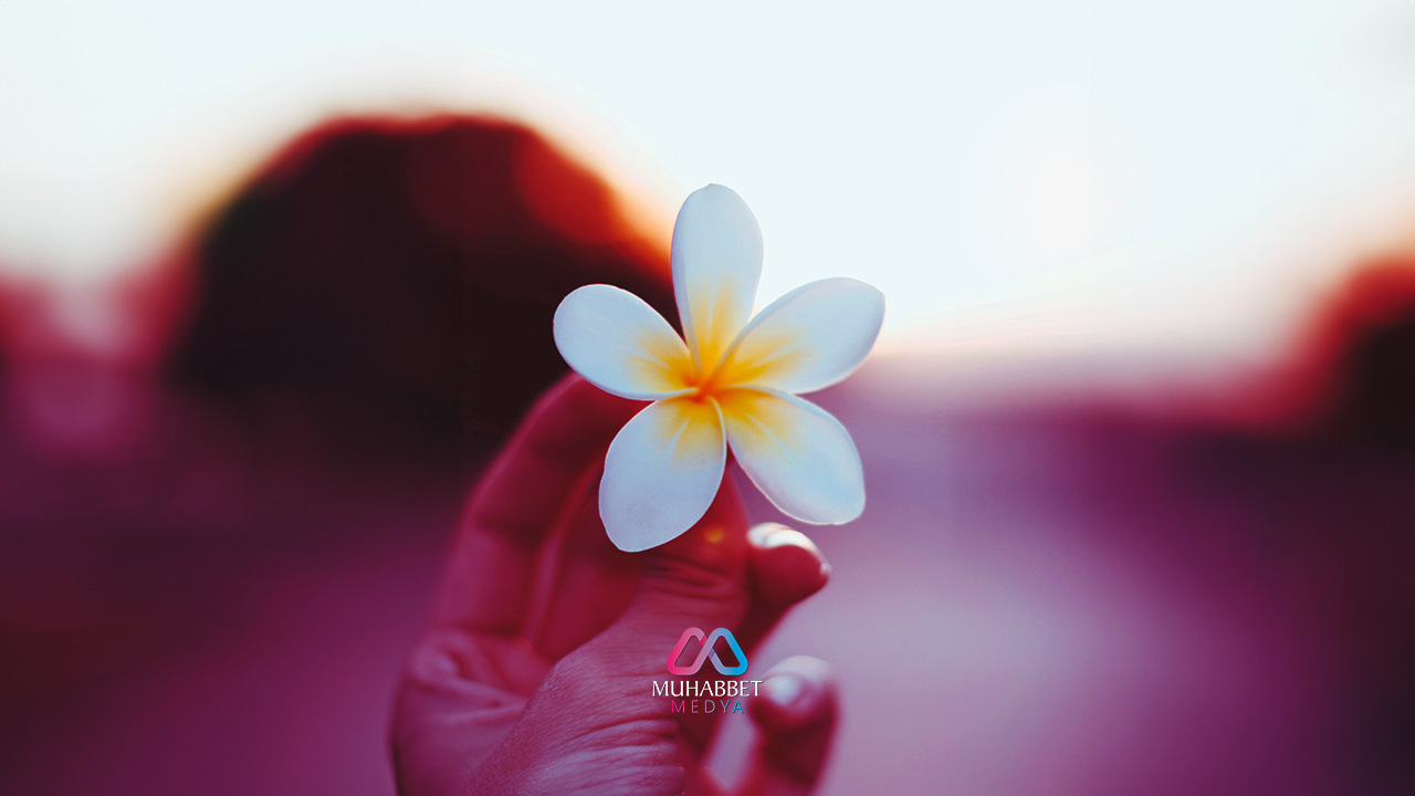 İslamiyet’i temsil etmeye layık bir dile ihtiyacımız var