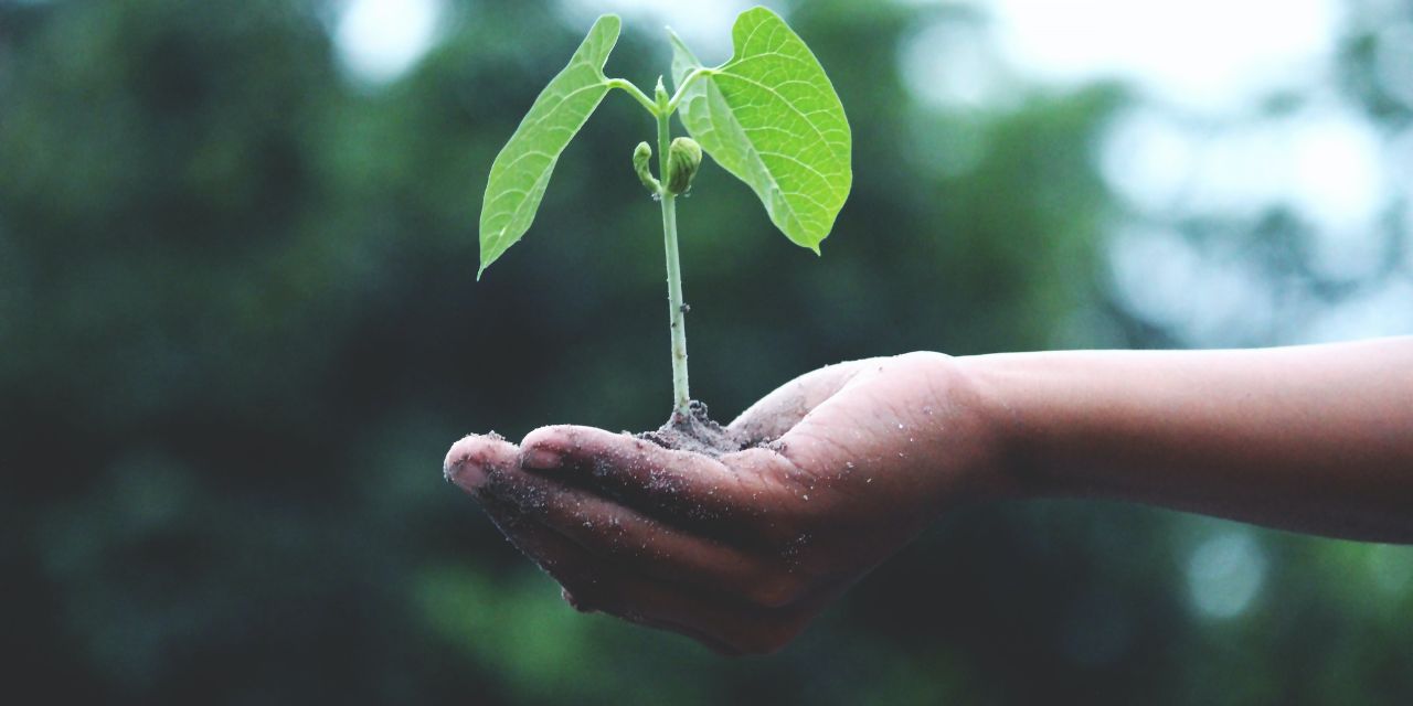 Yaşadığınız çevreyi cennetten bir köşe haline getirmek için…