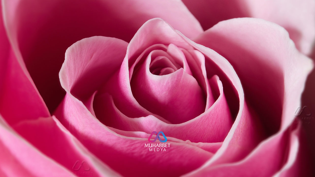 Âlemin Kalbinden Yükselen Âmîn