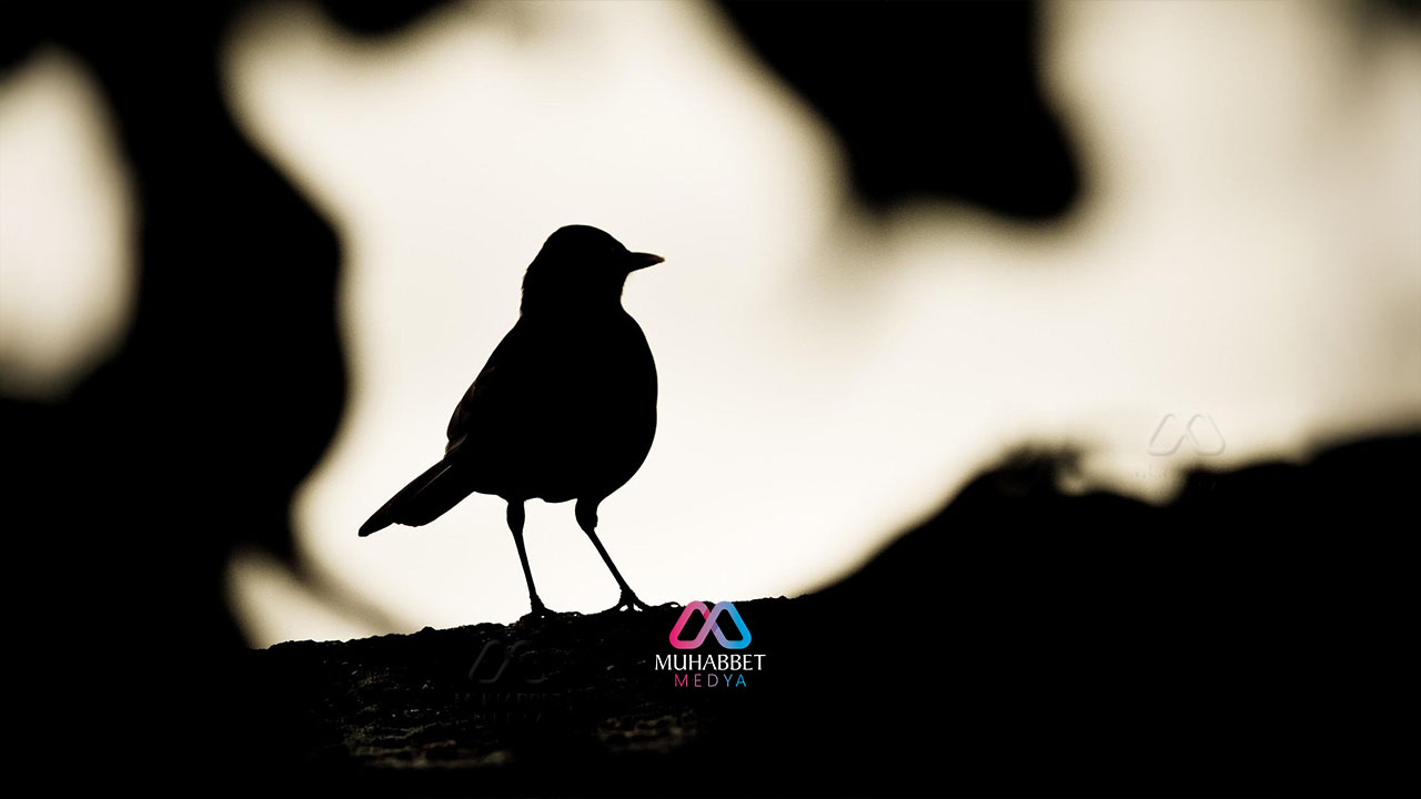 'O çok güzeldi ama...'