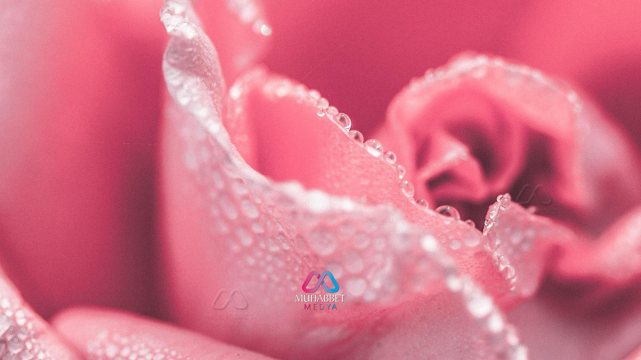 Şiir: Nebîyyullah, Habîbullah